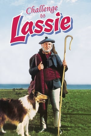 Challenge to Lassie poszter