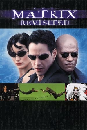 The Matrix Revisited poszter