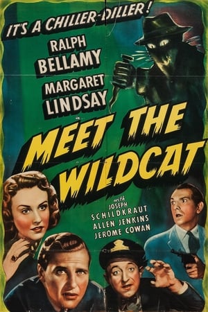Meet the Wildcat