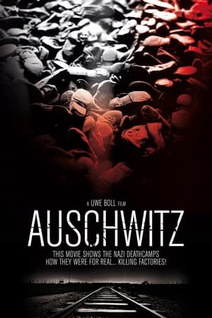 Auschwitz poszter