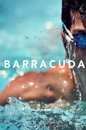 Barracuda poszter
