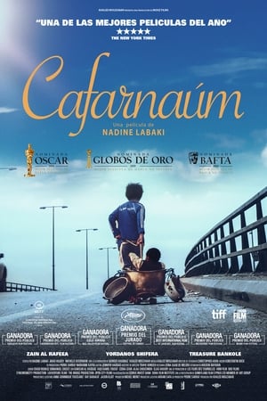 Kafarnaum - A remény útja poszter
