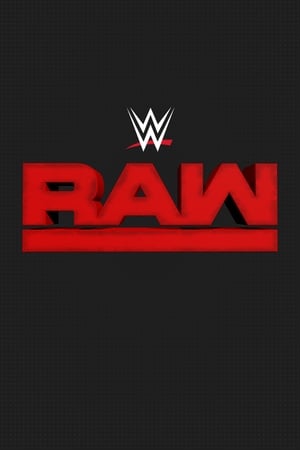 WWE Raw poszter