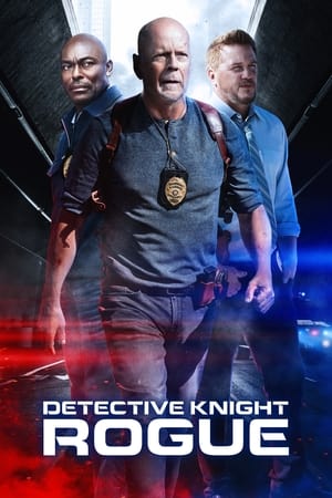 Detective Knight: Rogue poszter