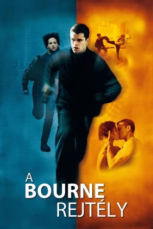 A Bourne-rejtély poszter