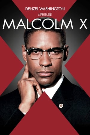 Malcolm X poszter