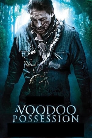 Voodoo Possession poszter