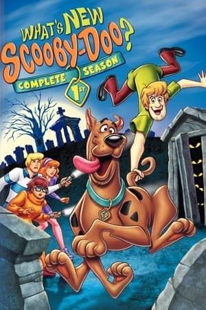 Mizújs, Scooby-Doo?