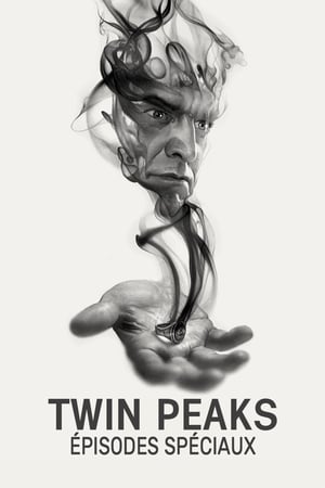Twin Peaks Speciális epizódok