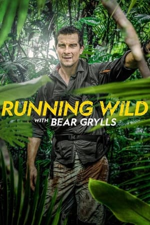Bear Grylls: Sztárok a vadonban poszter
