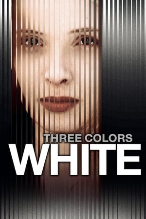 Három szín: Fehér poszter