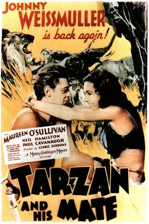 Tarzan és asszonya poszter