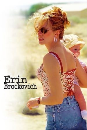 Erin Brockovich - Zűrös természet poszter
