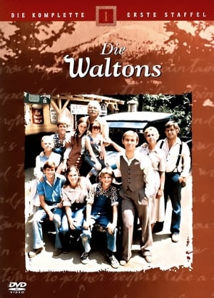 The Waltons poszter