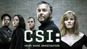 CSI, A helyszínelők kép