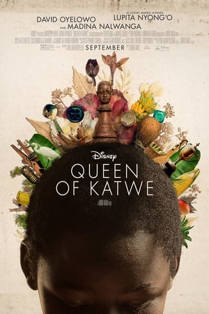 Katwe királynője poszter