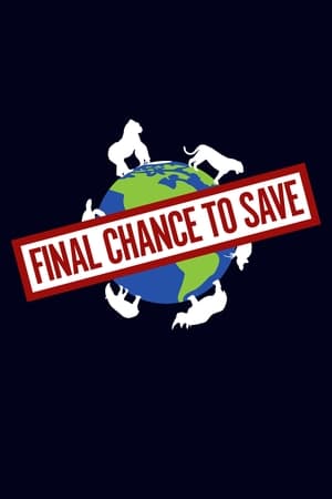 Final Chance to Save