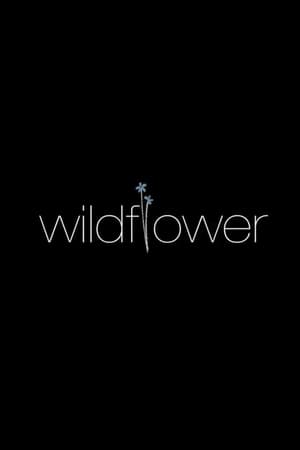 Wildflower poszter