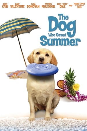 A kutya, aki megmentette a nyarat poszter
