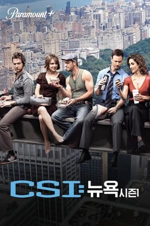 CSI: New York-i helyszínelők poszter