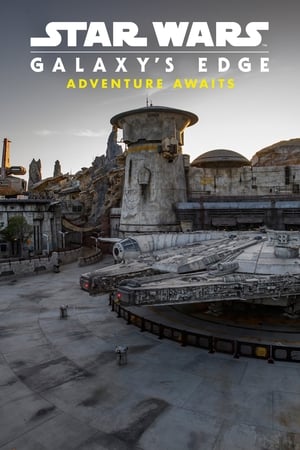 Star Wars: Galaxy's Edge - Adventure Awaits poszter