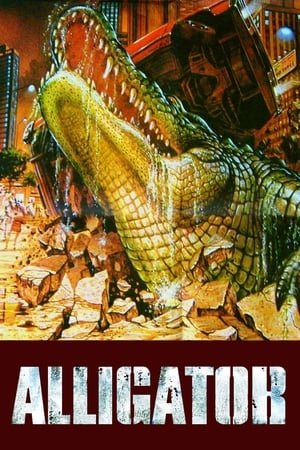 Az aligátor poszter