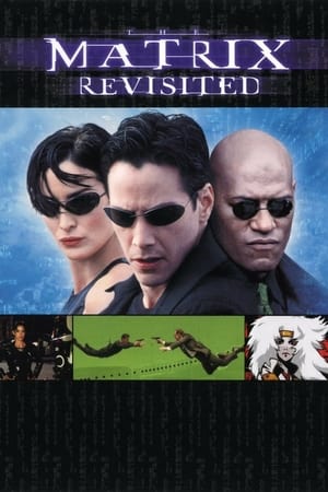 The Matrix Revisited poszter