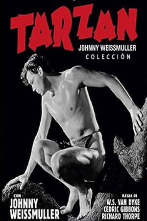 Tarzan (Johnny Weissmuller) filmek