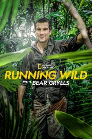 Bear Grylls: Sztárok a vadonban poszter