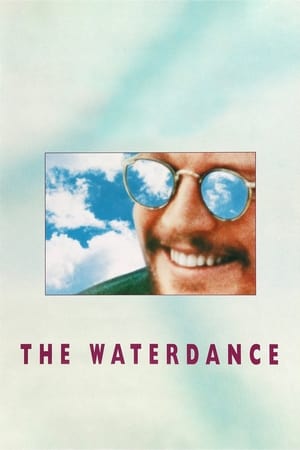 The Waterdance poszter