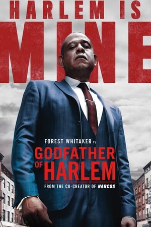 Godfather of Harlem poszter