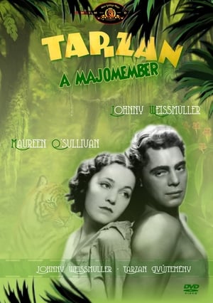 Tarzan, a majomember