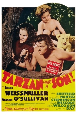 Tarzan és fia poszter
