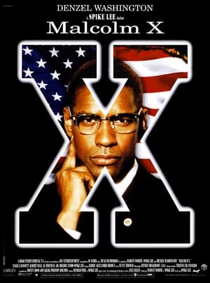 Malcolm X poszter