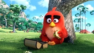 Angry Birds - A film háttérkép