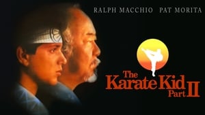 Karate kölyök 2. háttérkép