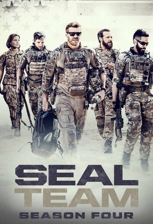 SEAL Team poszter