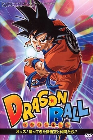 Dragon Ball Z OVA 2 - Son Goku és barátai visszatérnek! poszter