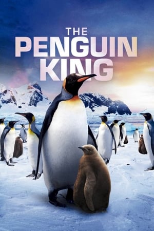 A Pingvinkirály