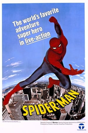 A Csodálatos pókember poszter
