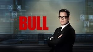 Bull kép