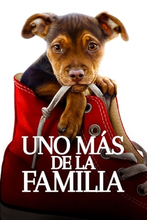 Egy kutya hazatér poszter