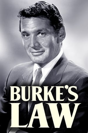 Burke's Law poszter