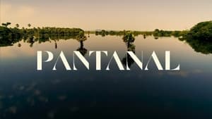 Pantanal kép