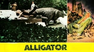 Az aligátor háttérkép
