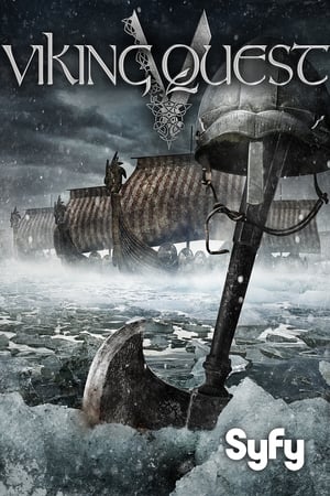 Vikingek csatája poszter