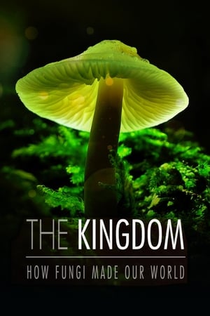 The Kingdom: How Fungi Made Our World