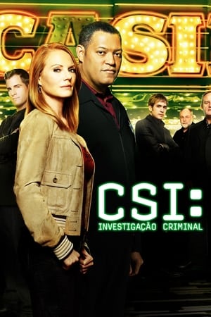 CSI: A helyszínelők poszter
