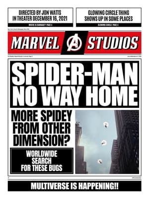 Spider-Man: All Roads Lead to No Way Home poszter