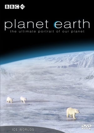 Bolygónk, a Föld poszter